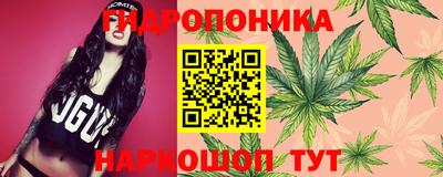 ПСИЛОЦИБИНОВЫЕ ГРИБЫ Канаш