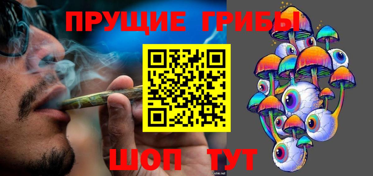 Заречный  Псилоцибиновые грибы Magic Shrooms  Вход с VPN  Псилоцибиновые грибы мухоморы 